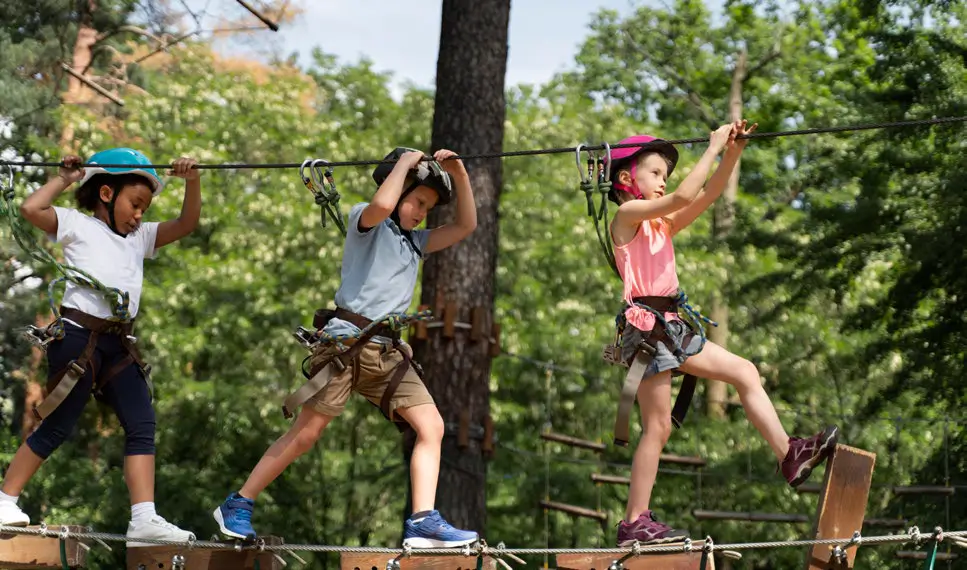 PROJETOS-DE-FERIAS-COM-A-TAROBA-10