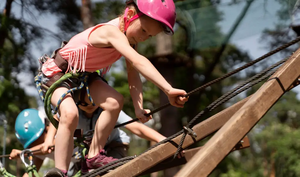 PROJETOS-DE-FERIAS-COM-A-TAROBA-7